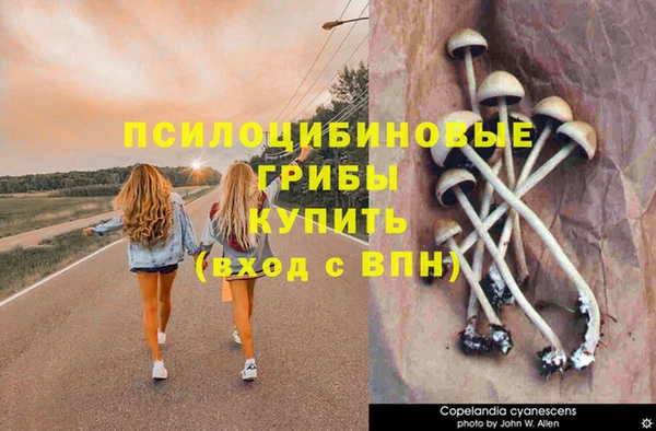 ECSTASY Богородск