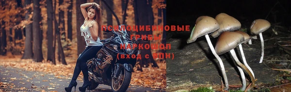 синтетический гашиш Белокуриха